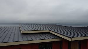 Best Hot Roofs  in Poseyville, IN